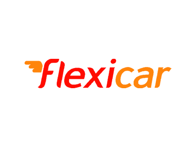 Flexicar logo, which The Big Canvas has worked with developing marketing and training materials